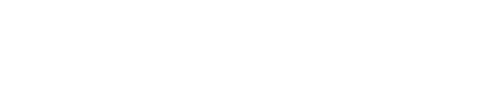 RAVN Digital